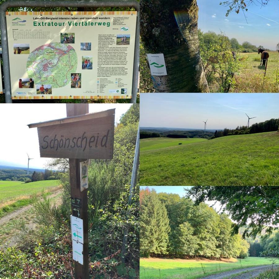 Apartmenthaus Ruhezeit Bad Endbach ภายนอก รูปภาพ