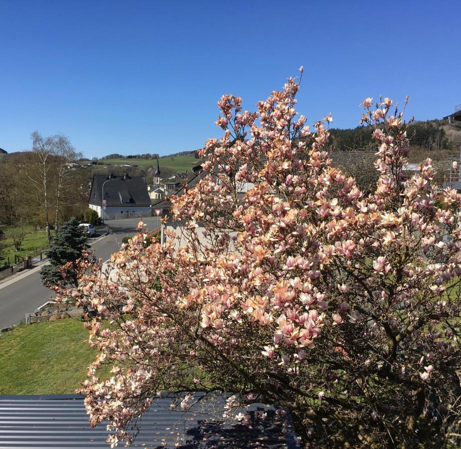 Apartmenthaus Ruhezeit Bad Endbach ภายนอก รูปภาพ